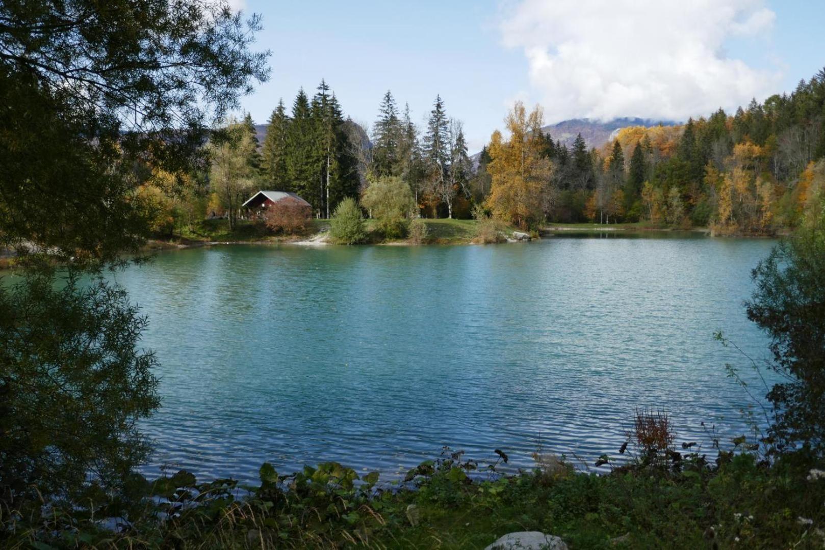 Bellecombe-en-Beauges Les Perrelles B&B 외부 사진