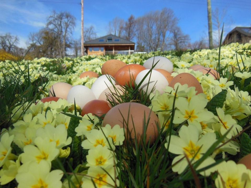 Bellecombe-en-Beauges Les Perrelles B&B 외부 사진